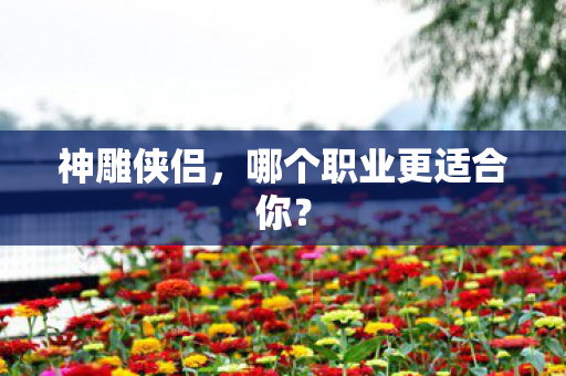 哪个职业更适合你图片