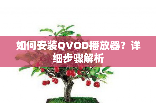 如何安装QVOD播放器图片