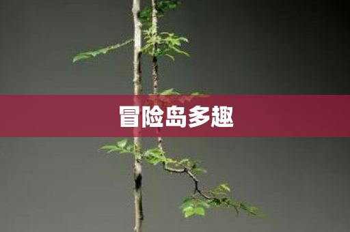 冒险岛多趣图片