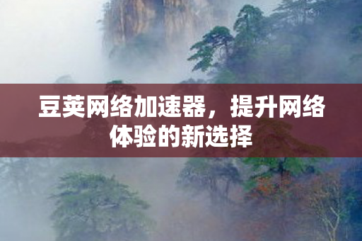 提升网络体验的新选择图片