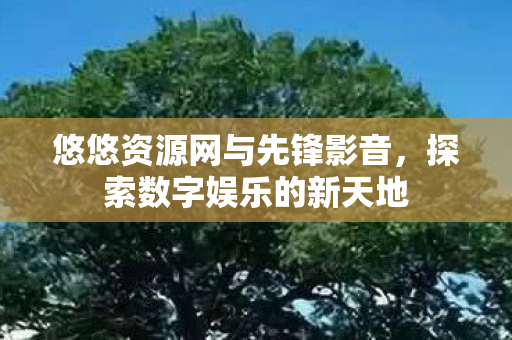 悠悠资源网与先锋影音图片
