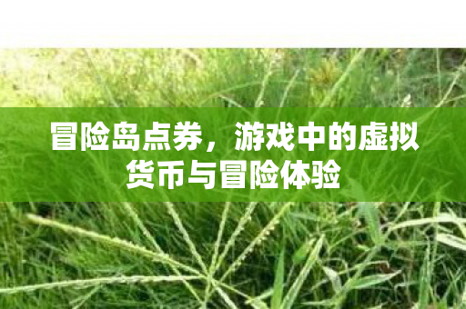 游戏中的虚拟货币与冒险体验图片