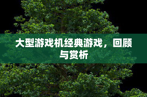 大型游戏机经典游戏图片