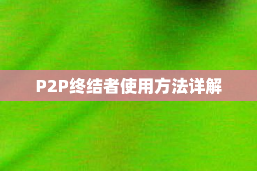 P2P终结者使用方法详解图片