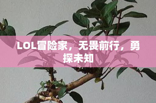 LOL冒险家图片