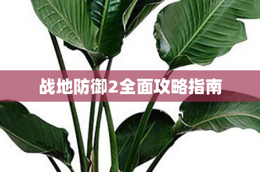 战地防御2全面攻略指南图片