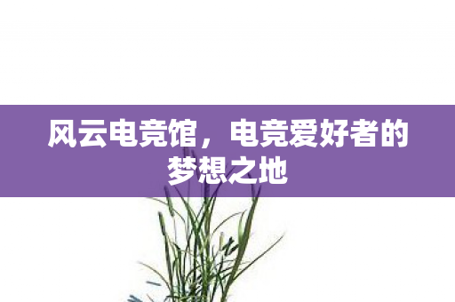 电竞爱好者的梦想之地图片