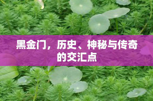 神秘与传奇的交汇点图片