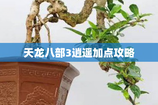 天龙八部3逍遥加点攻略图片