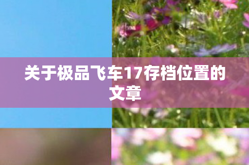 关于极品飞车17存档位置的文章图片