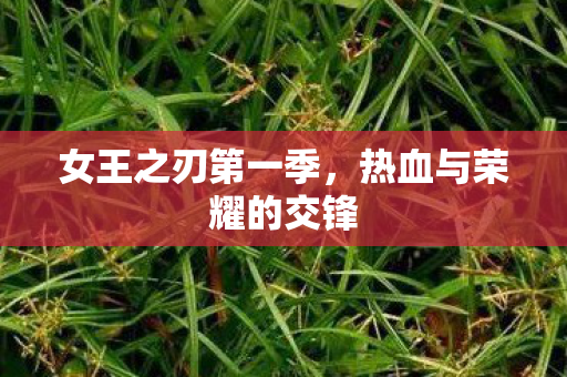 热血与荣耀的交锋图片