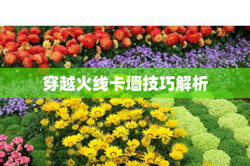 穿越火线卡墙技巧解析图片