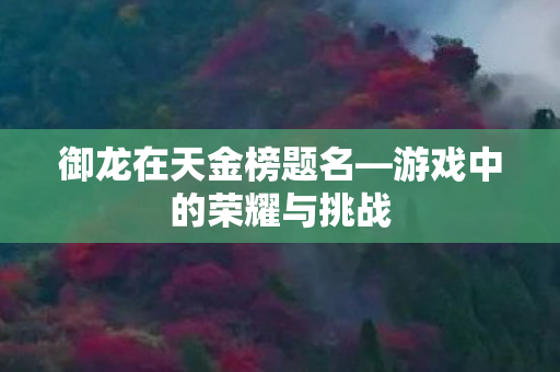 游戏中的荣耀与挑战图片