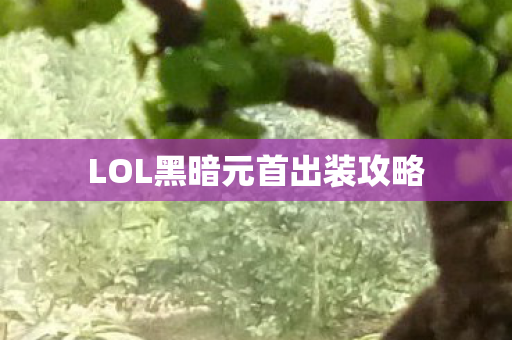 LOL黑暗元首出装攻略图片