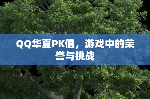 游戏中的荣誉与挑战图片