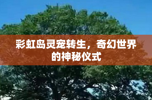 奇幻世界的神秘仪式图片