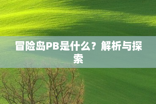 冒险岛PB是什么图片
