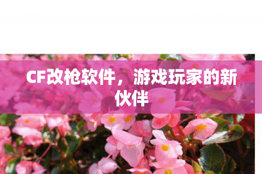 游戏玩家的新伙伴图片