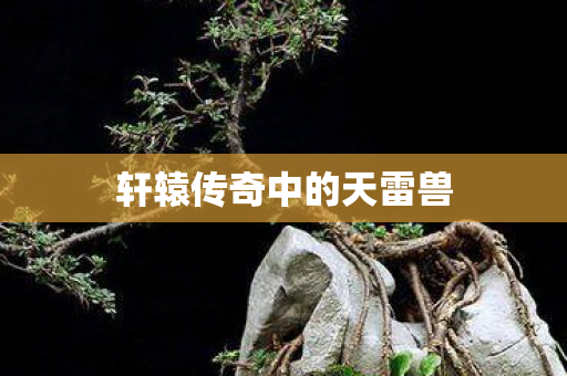 轩辕传奇中的天雷兽图片