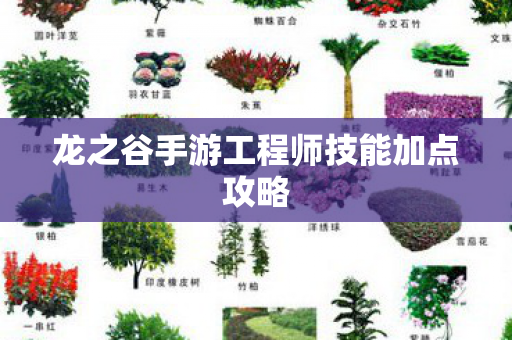 龙之谷手游工程师技能加点攻略图片