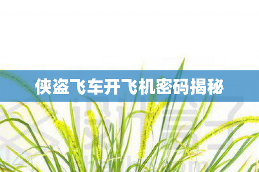 侠盗飞车开飞机密码揭秘图片