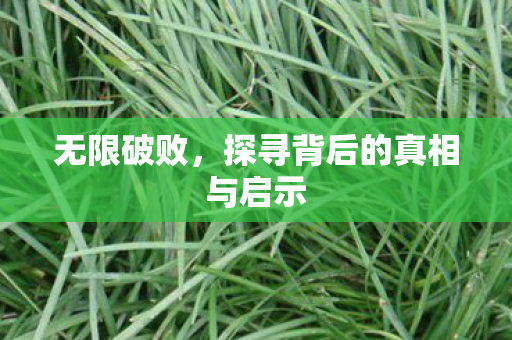 探寻背后的真相与启示图片