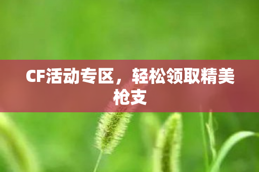 轻松领取精美枪支图片