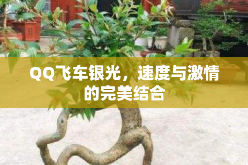 速度与激情的完美结合图片
