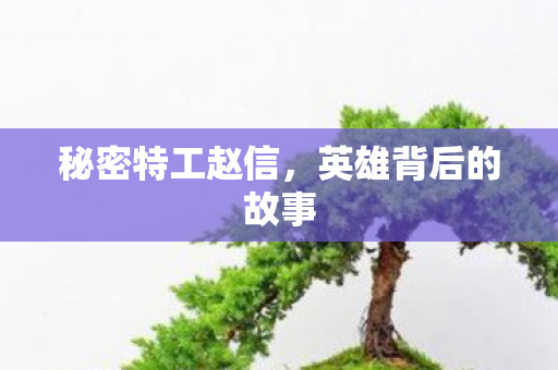 英雄背后的故事图片