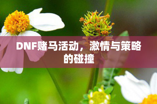 激情与策略的碰撞图片