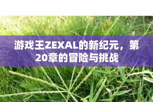 游戏王ZEXAL的新纪元图片