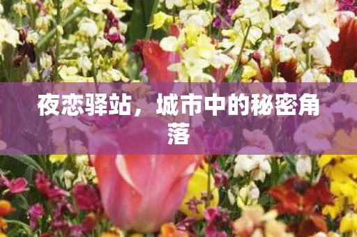 城市中的秘密角落图片