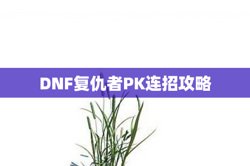 DNF复仇者PK连招攻略图片