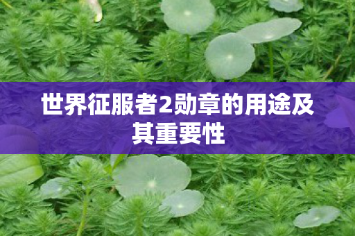 世界征服者2勋章的用途及其重要性图片