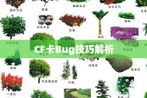 CF卡Bug技巧解析图片
