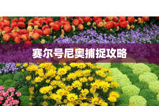 赛尔号尼奥捕捉攻略图片