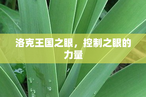 控制之眼的力量图片