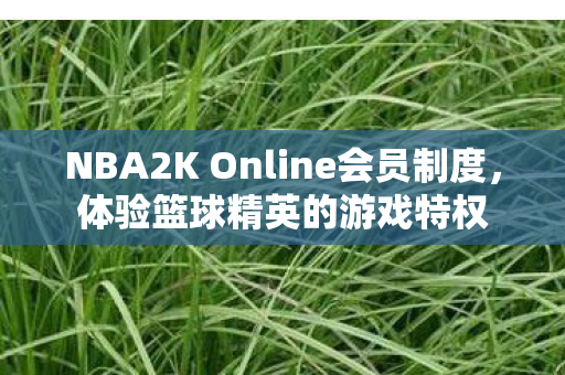 NBA2K Online会员制度图片