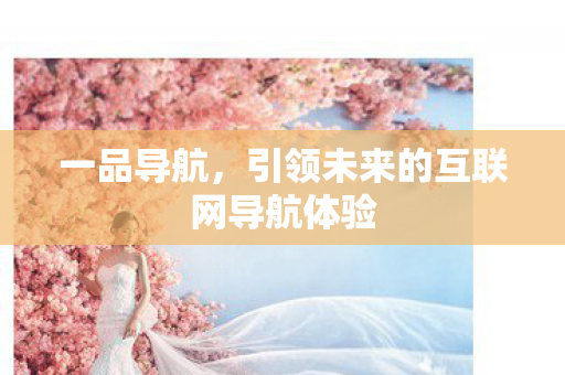 引领未来的互联网导航体验图片