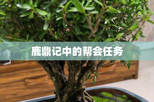 鹿鼎记中的帮会任务图片