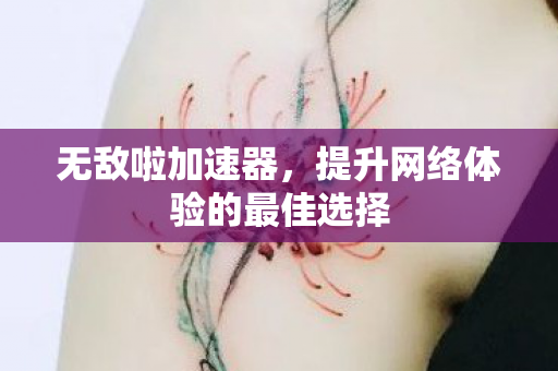 提升网络体验的最佳选择图片