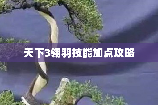 天下3翎羽技能加点攻略图片