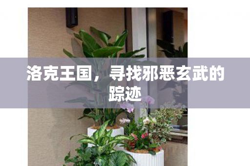 寻找邪恶玄武的踪迹图片