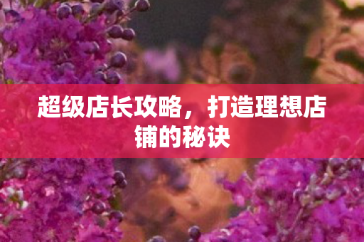 打造理想店铺的秘诀图片