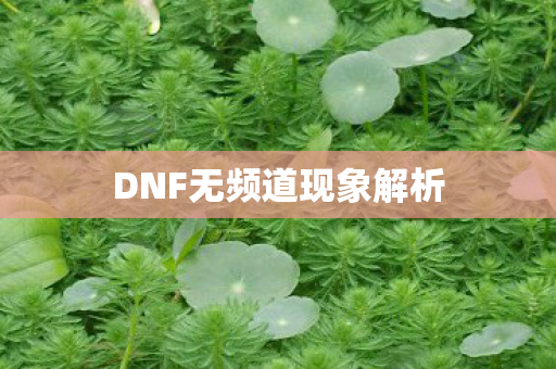 DNF无频道现象解析图片