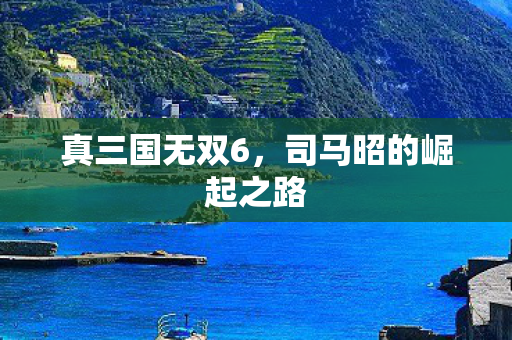 司马昭的崛起之路图片