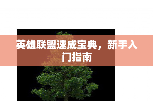 英雄联盟速成宝典图片