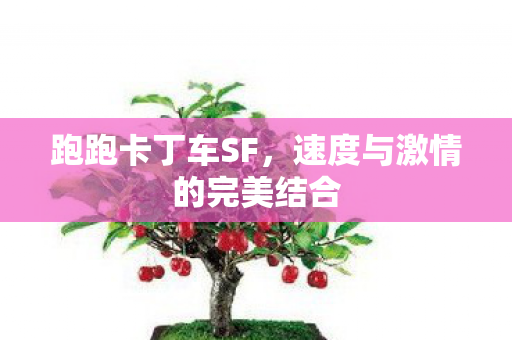 速度与激情的完美结合图片