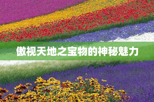 傲视天地之宝物的神秘魅力图片