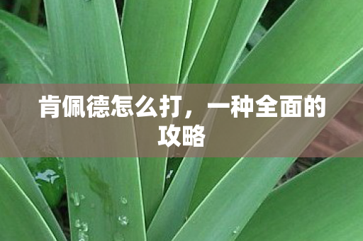 一种全面的攻略图片